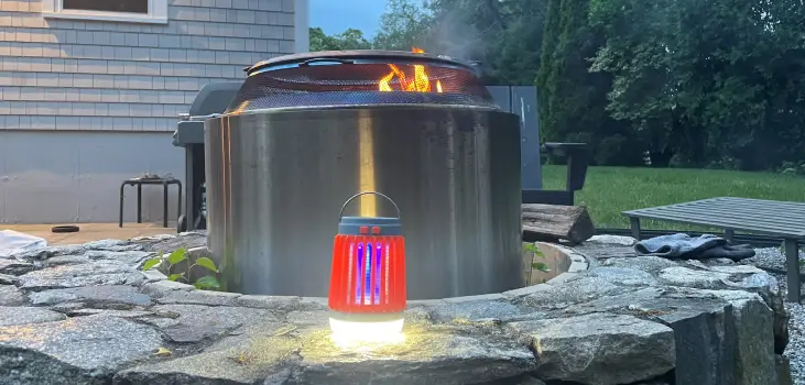 Zaptek in front of a barbeque in a backyard